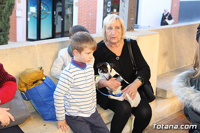 Bendicin animales San Antn 2018 - 28