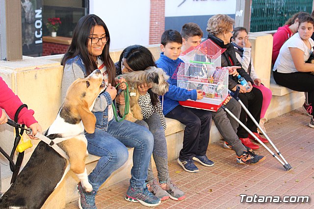 Bendicin animales San Antn 2018 - 34