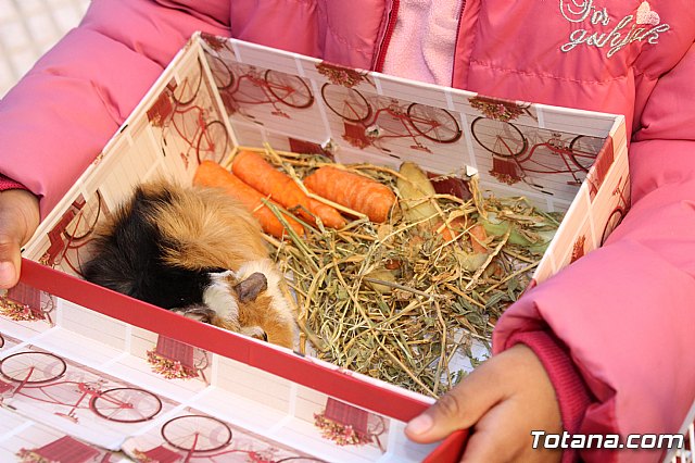 Bendicin animales San Antn 2018 - 41