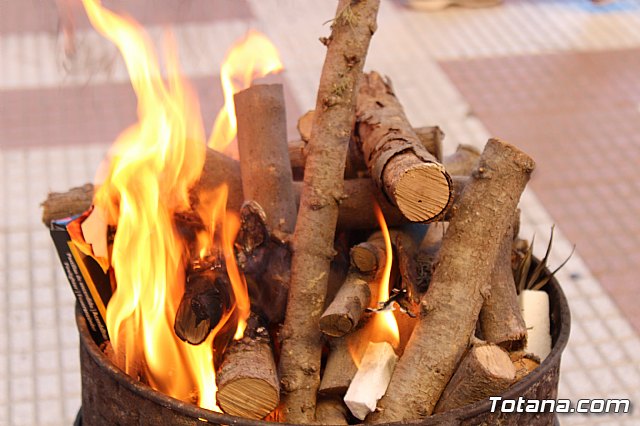 Bendicin animales San Antn 2018 - 45