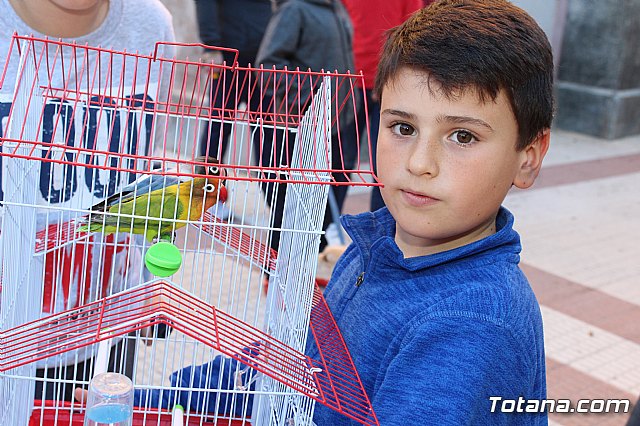 Bendicin animales San Antn 2018 - 50