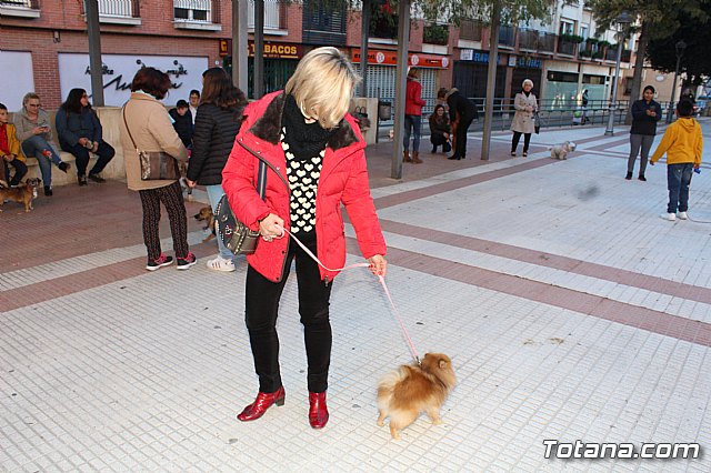 Bendicin animales San Antn 2018 - 54