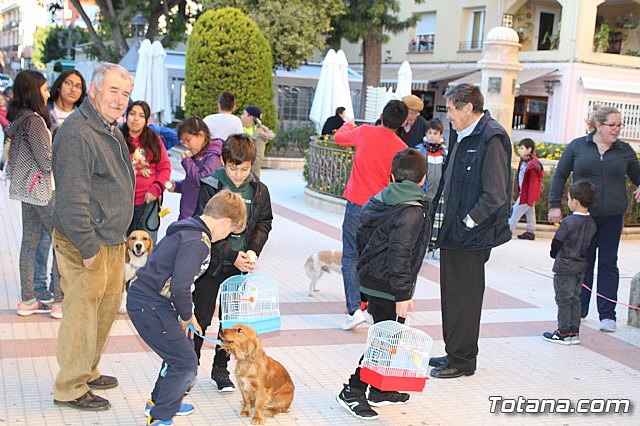Bendicin animales San Antn 2018 - 56