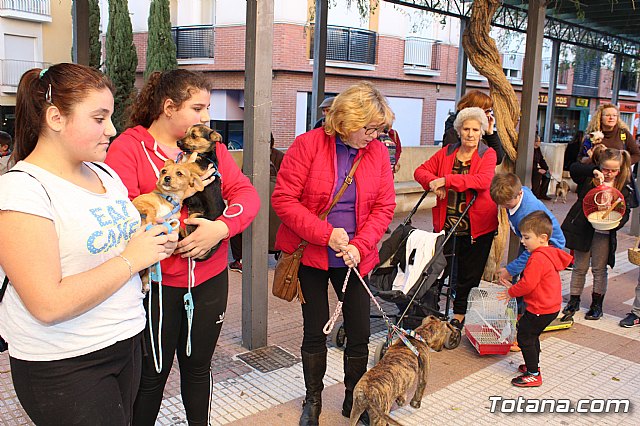 Bendicin animales San Antn 2018 - 57