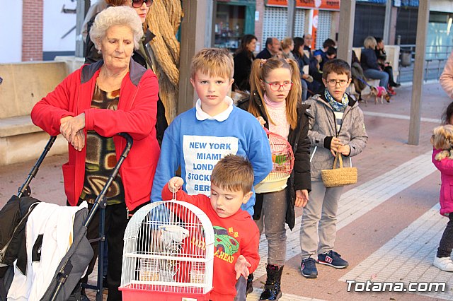 Bendicin animales San Antn 2018 - 61