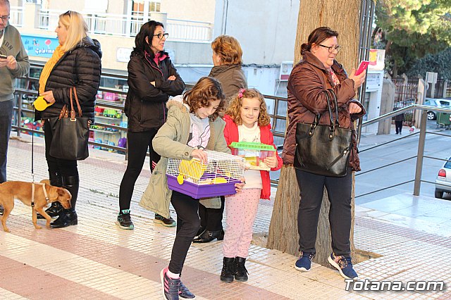 Bendicin animales San Antn 2018 - 62