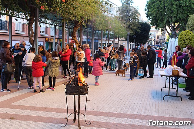 Bendicin animales San Antn 2018 - 65