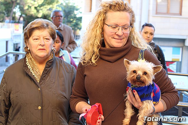 Bendicin animales San Antn 2018 - 68