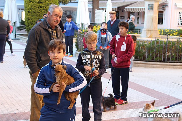 Bendicin animales San Antn 2018 - 70