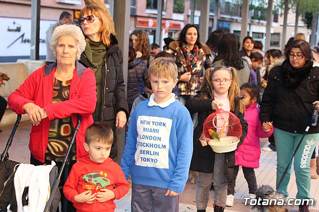 Bendicin animales San Antn 2018 - 73