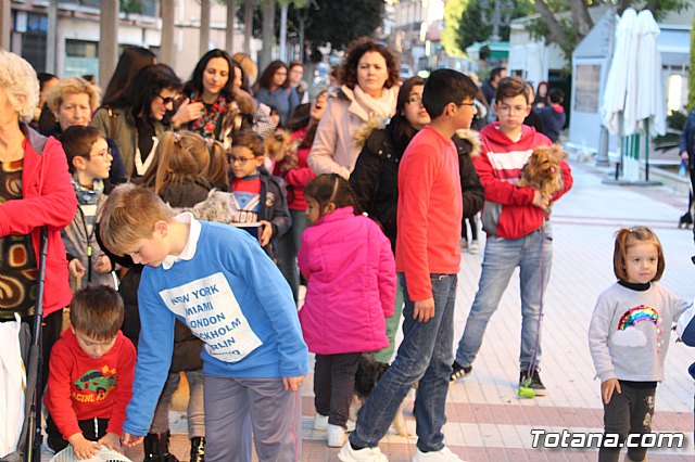 Bendicin animales San Antn 2018 - 76