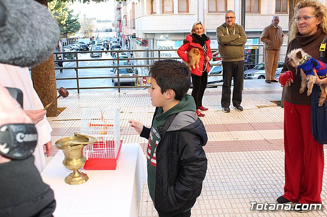 Bendicin animales San Antn 2018 - 77