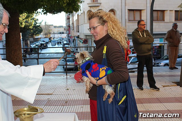 Bendicin animales San Antn 2018 - 78