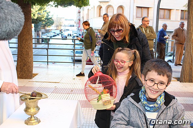 Bendicin animales San Antn 2018 - 89