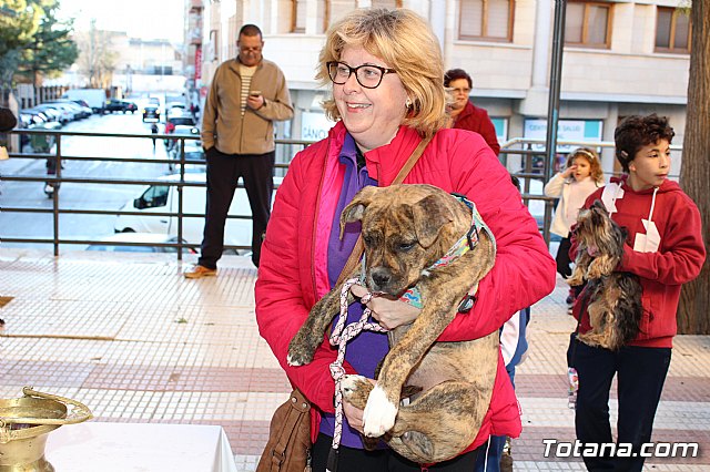 Bendicin animales San Antn 2018 - 92