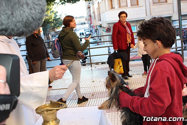 Bendicin animales San Antn 2018 - 95