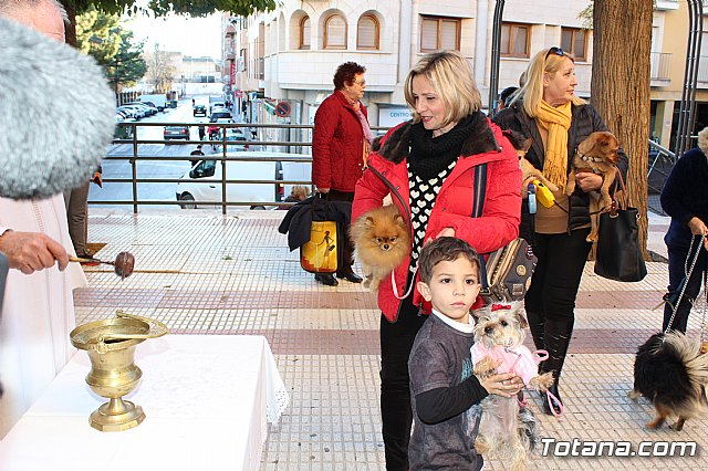 Bendicin animales San Antn 2018 - 96