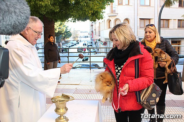 Bendicin animales San Antn 2018 - 97