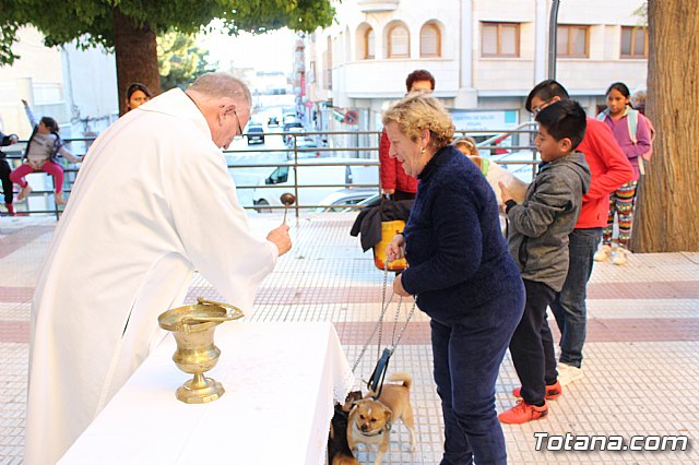 Bendicin animales San Antn 2018 - 100