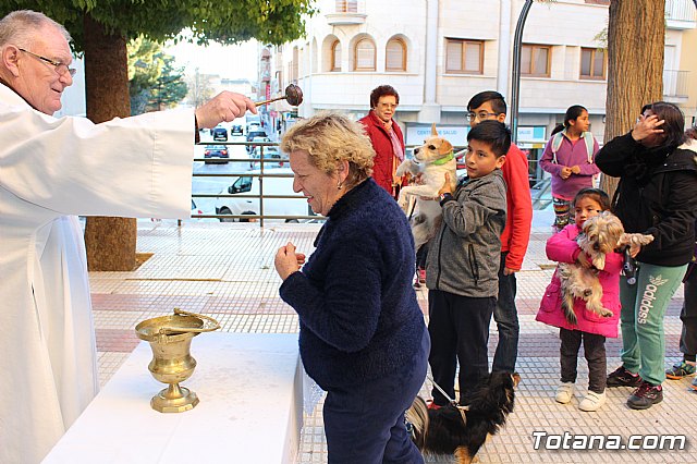 Bendicin animales San Antn 2018 - 101