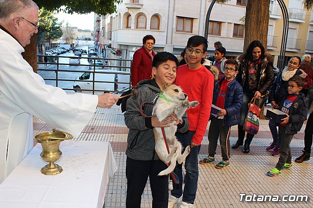 Bendicin animales San Antn 2018 - 104