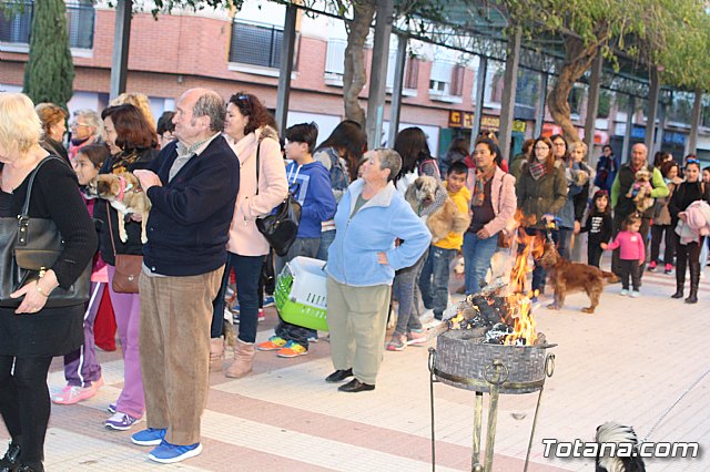 Bendicin animales San Antn 2018 - 105