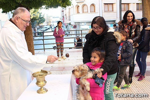 Bendicin animales San Antn 2018 - 106