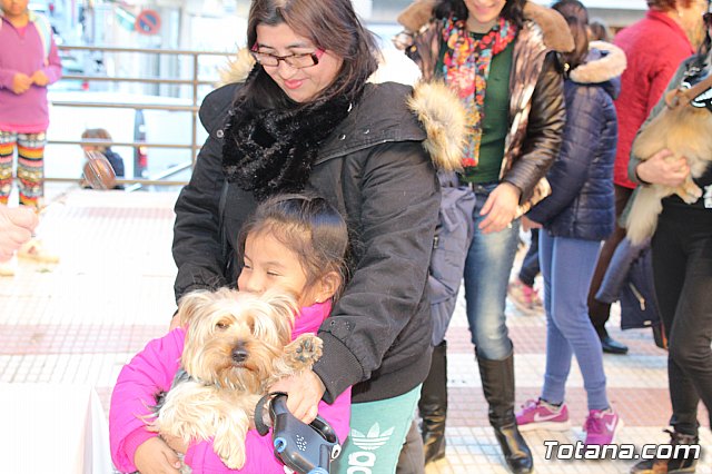 Bendicin animales San Antn 2018 - 107