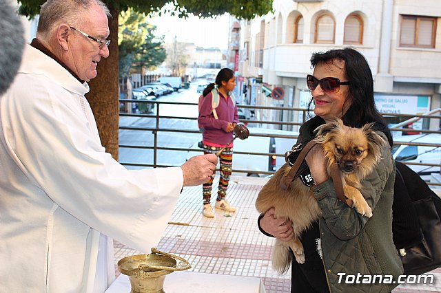 Bendicin animales San Antn 2018 - 111