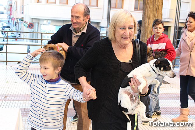 Bendicin animales San Antn 2018 - 113