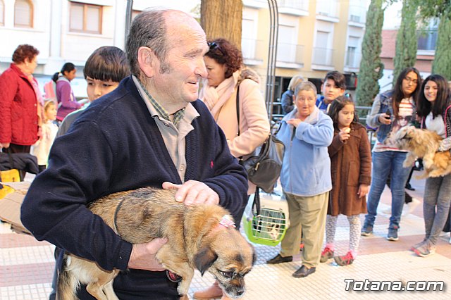 Bendicin animales San Antn 2018 - 115