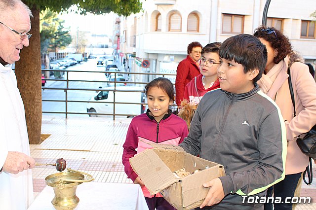 Bendicin animales San Antn 2018 - 117