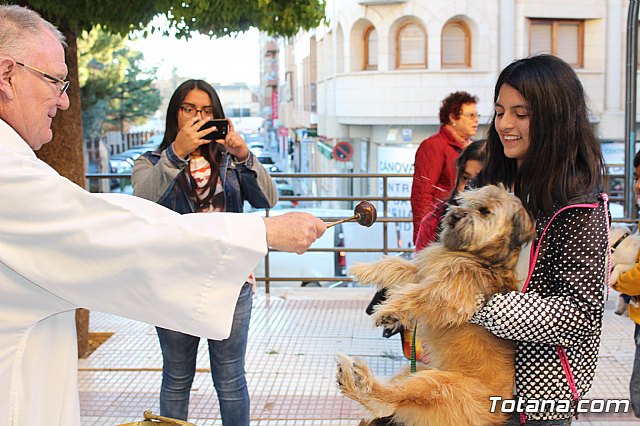 Bendicin animales San Antn 2018 - 123