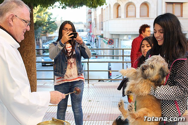 Bendicin animales San Antn 2018 - 124