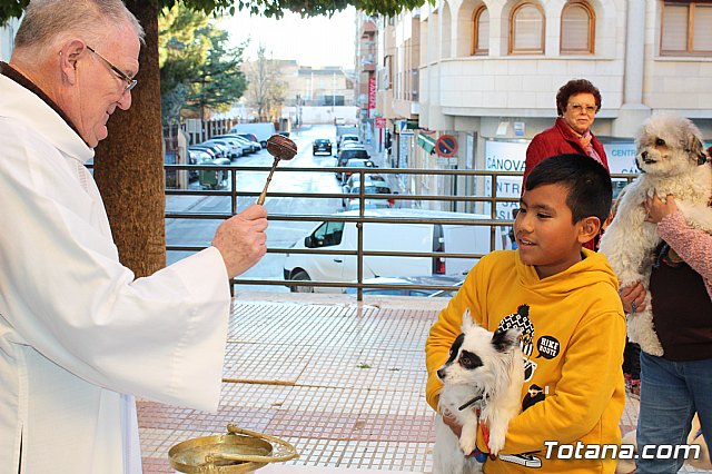 Bendicin animales San Antn 2018 - 127