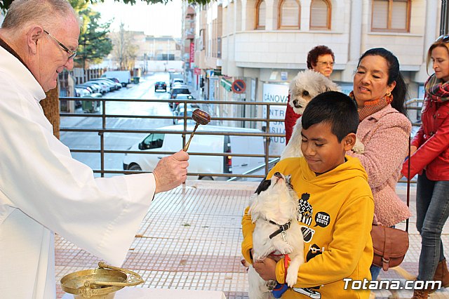 Bendicin animales San Antn 2018 - 128