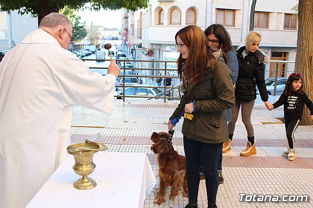 Bendicin animales San Antn 2018 - 132