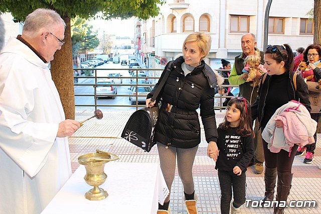 Bendicin animales San Antn 2018 - 135