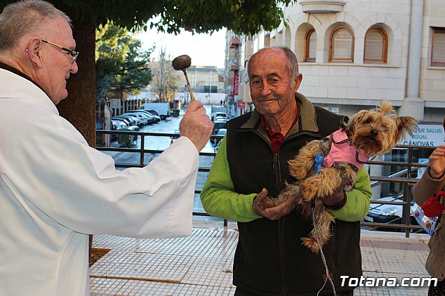 Bendicin animales San Antn 2018 - 137