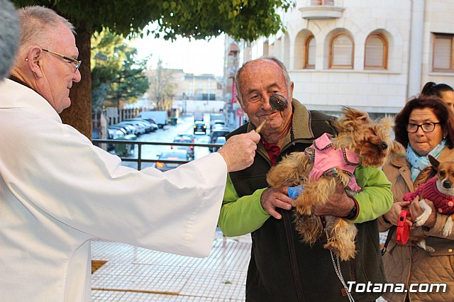 Bendicin animales San Antn 2018 - 138