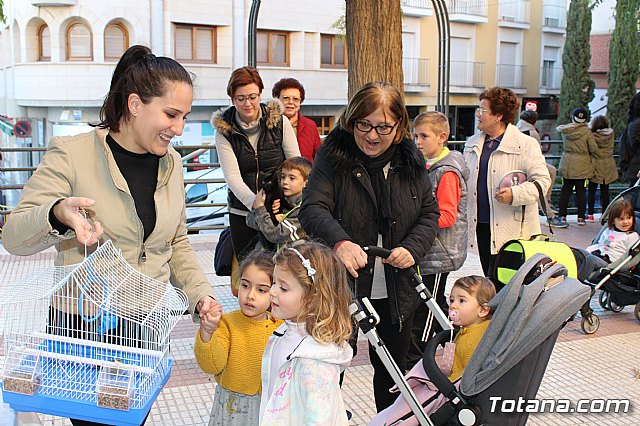 Bendicin animales San Antn 2018 - 143