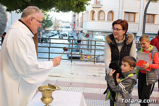 Bendicin animales San Antn 2018 - 144