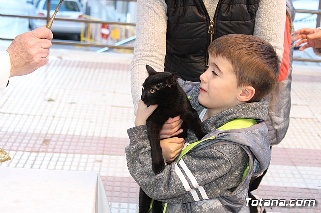 Bendicin animales San Antn 2018 - 145