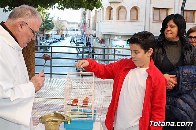 Bendicin animales San Antn 2018 - 150