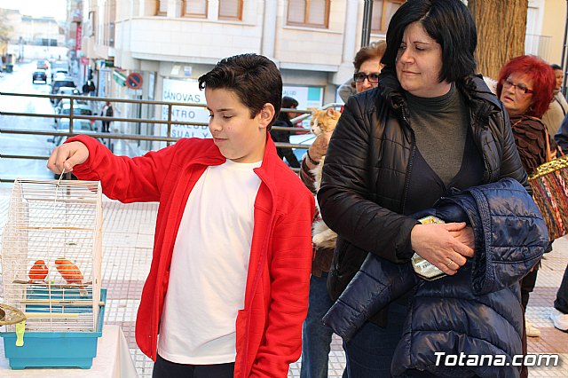 Bendicin animales San Antn 2018 - 151