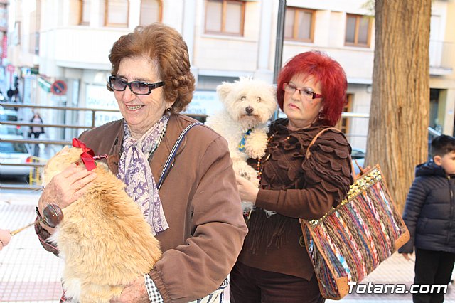 Bendicin animales San Antn 2018 - 153