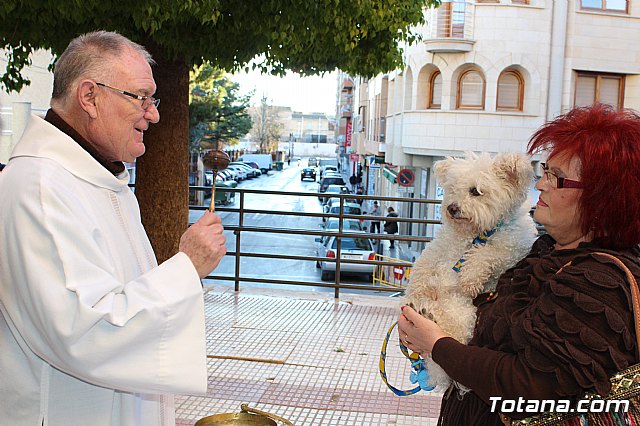 Bendicin animales San Antn 2018 - 154