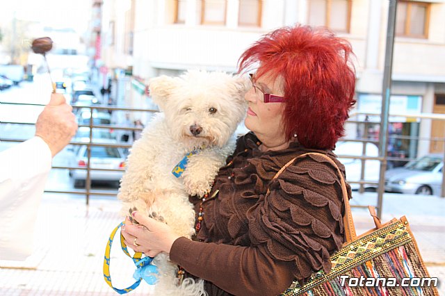 Bendicin animales San Antn 2018 - 155