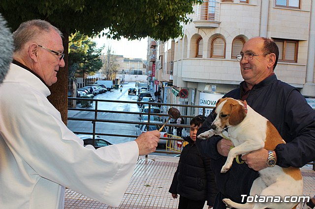 Bendicin animales San Antn 2018 - 156