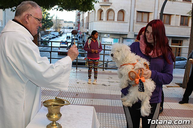 Bendicin animales San Antn 2018 - 162
